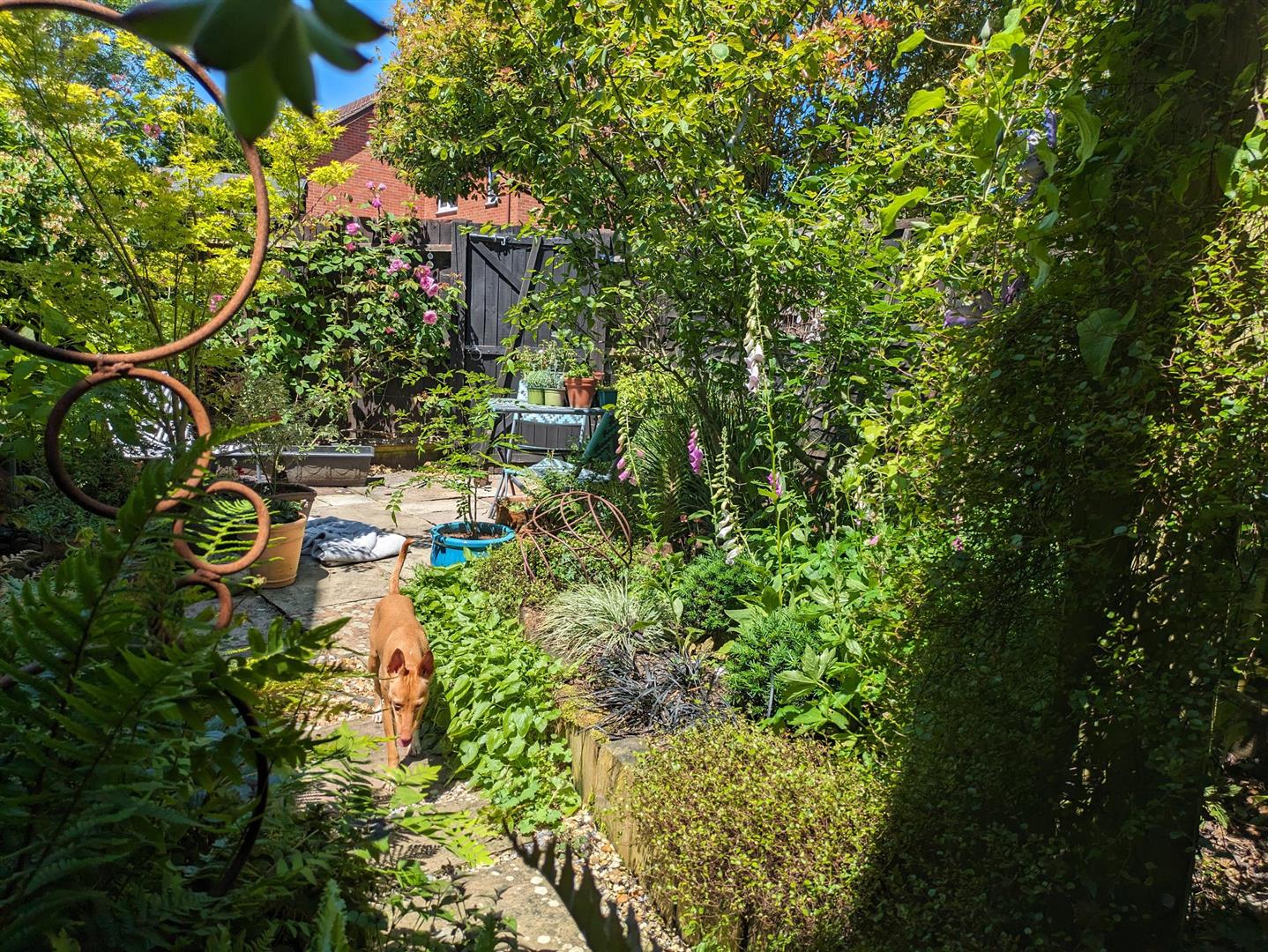 2092a57f-6b40-4a07-b104-7776a5bf0458-1_all_1531.jp